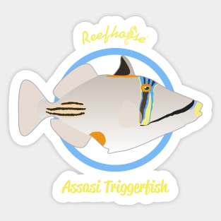 Assasi Triggerfish Sticker